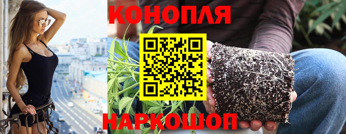 Конопля AK-47 Гагарин
